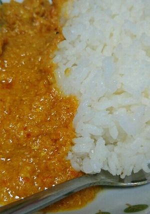 4種類のスパイスを使ったチキンカレー-レシピのメイン写真