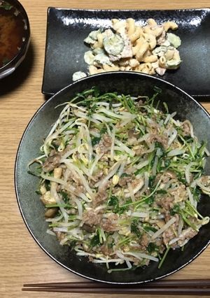 もやしと挽肉のレンジ蒸し-レシピのメイン写真