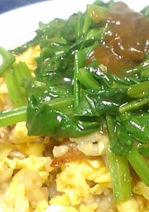 永谷園「青椒肉絲」であんかけチャーハン-レシピのメイン写真