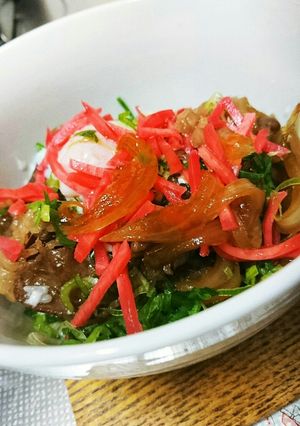 【すきやの牛丼】簡単すぎる上手すぎ！-レシピのメイン写真