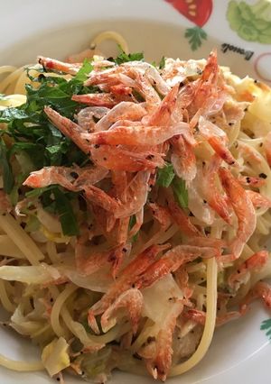 桜エビとキャベツのクリームパスタ/廉価版-レシピのメイン写真