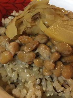 納豆と筍のご飯-レシピのメイン写真