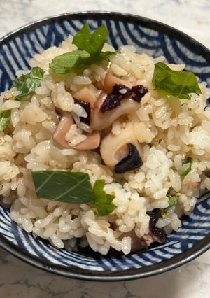 混ぜ混ぜタコ飯(身内専用)-レシピのメイン写真