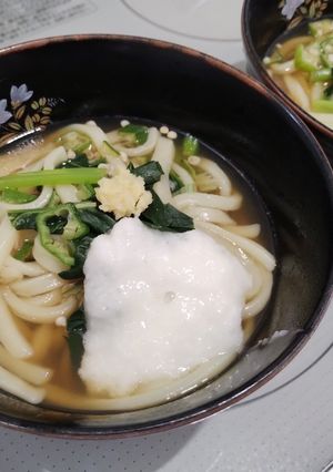 ネバネバ元気うどん-レシピのメイン写真