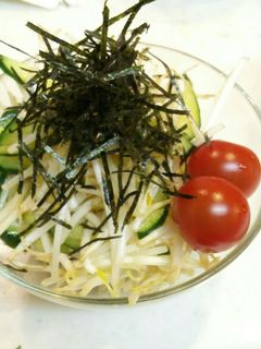 もやしのサラダ-レシピのメイン写真