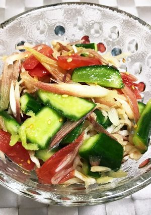 ミョウガと夏野菜のサラダ-レシピのメイン写真