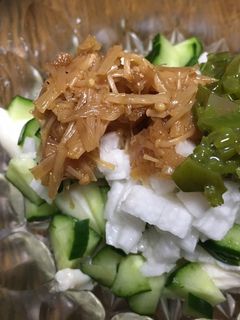 ネバネバ具だくさん冷奴-レシピのメイン写真