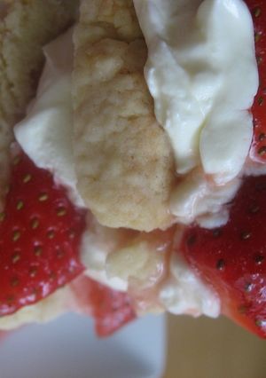 簡単スコーン"Scone "-レシピのメイン写真
