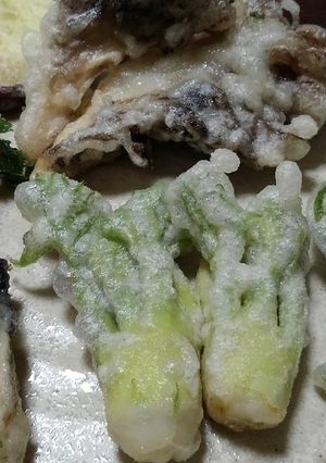 必ずカラッと☆サクサク☆たらの芽の天麩羅-レシピのメイン写真