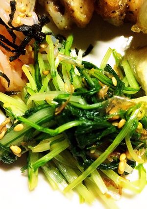 水菜のおひたし-レシピのメイン写真