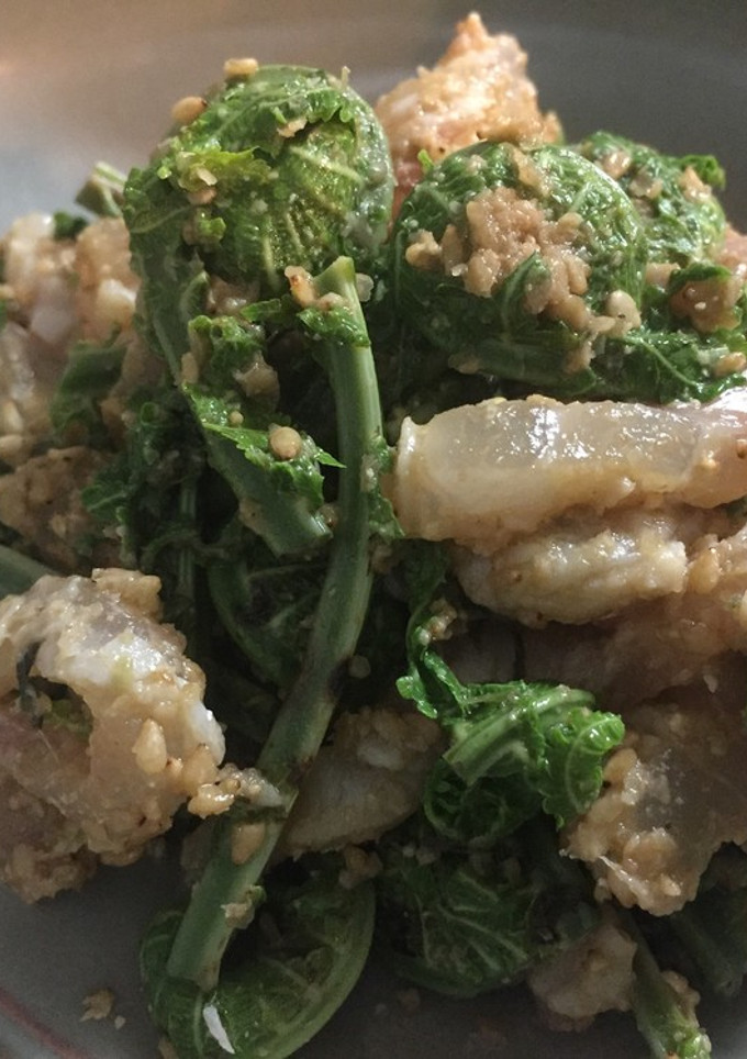 こごみと鯛の胡麻よごし-レシピのメイン写真