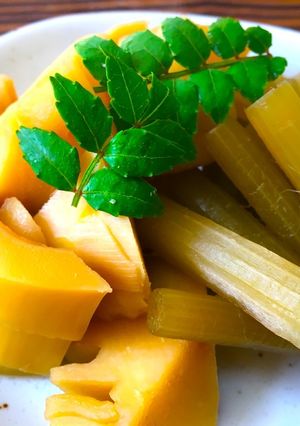 筍とフキの煮物-レシピのメイン写真