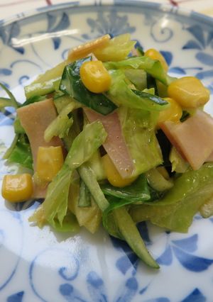 春キャベツのカレー風味サラダ-レシピのメイン写真