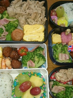今日も旦那弁、遠足弁-レシピのメイン写真
