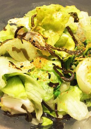 レタスと塩昆布の浅漬け-レシピのメイン写真