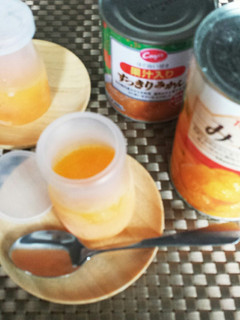 冷凍 みかん缶-レシピのメイン写真