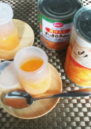 冷凍　みかん缶-レシピのメイン写真