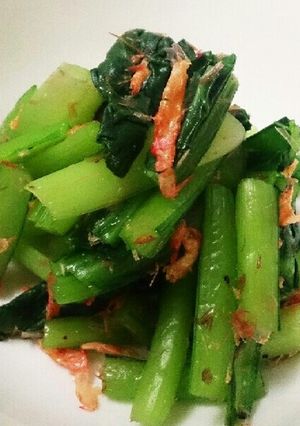 お弁当おかず☆小松菜の小えび鰹節合え-レシピのメイン写真