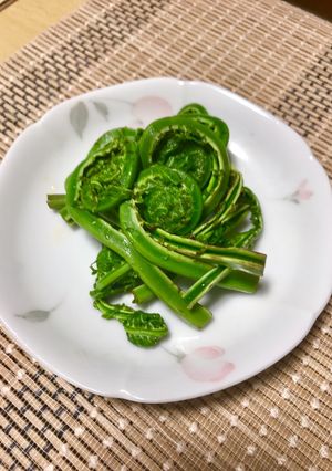 簡単。こごみのおひたし 麺つゆで-レシピのメイン写真