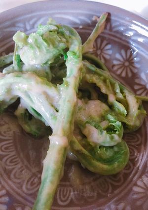 こごみの胡麻和え-レシピのメイン写真