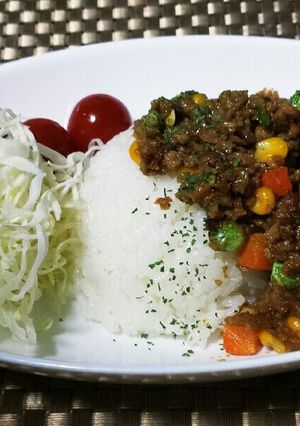 材料３つ　ドライカレー-レシピのメイン写真