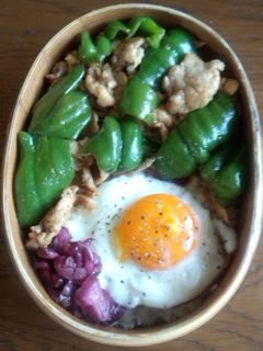 5分で♪男子満足焼肉丼弁当-レシピのメイン写真