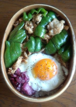 5分で♪男子満足焼肉丼弁当-レシピのメイン写真