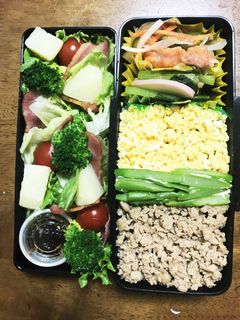 鶏そぼろ弁当-レシピのメイン写真
