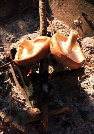 キャンプ飯★旨！簡単椎茸直火焼！つまみ✨-レシピのメイン写真