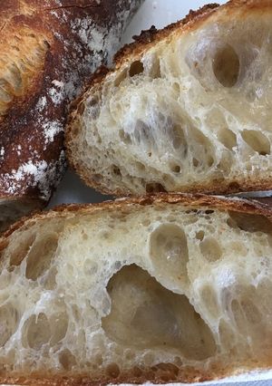 29.5.5あこ酵母バケットかホシノ酵母-レシピのメイン写真