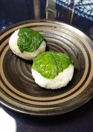 いつもの離乳食で柏餅風-レシピのメイン写真