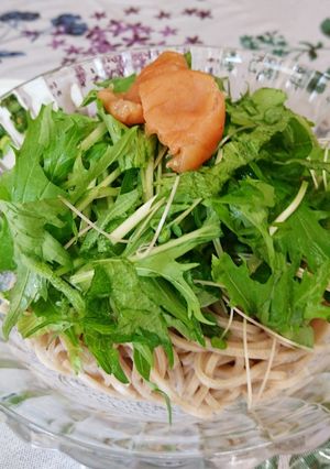 簡単 水菜と梅のサッパリ冷たいお蕎麦♪-レシピのメイン写真