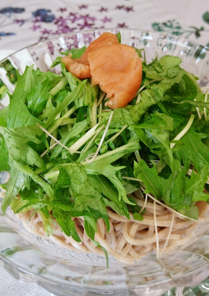 簡単 水菜と梅のサッパリ冷たいお蕎麦♪-レシピのメイン写真