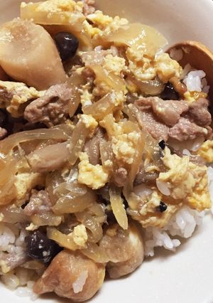 節約が嬉しい♡玉ねぎたっぷり他人丼♡-レシピのメイン写真