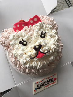 シェリーメイ★ケーキ-レシピのメイン写真