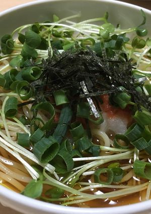 明太子おろし和風スープパスタ-レシピのメイン写真