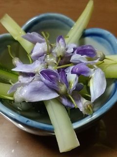 ウドと藤の花のサラダ-レシピのメイン写真