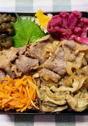 7/15ﾖｯﾁｬﾝ☆プルコギ弁当-レシピのメイン写真