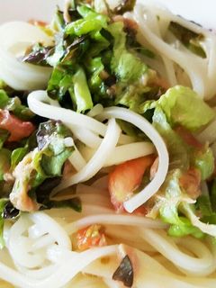 ちゃっちゃと!さっぱりサラダうどん-レシピのメイン写真