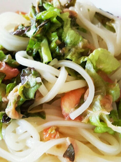 ちゃっちゃと!さっぱりサラダうどん-レシピのメイン写真