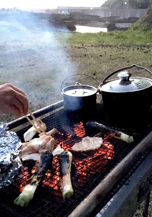 バーベキューの主役!葉玉ねぎのグリル-レシピのメイン写真