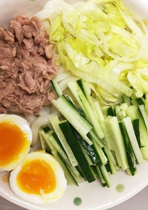 サラダうどん-レシピのメイン写真