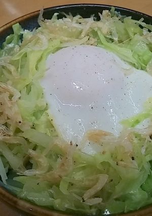春キャベツの親子巣ごもり丼-レシピのメイン写真