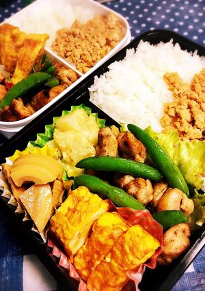 野球部弁当(o^^o)34 5月5日-レシピのメイン写真