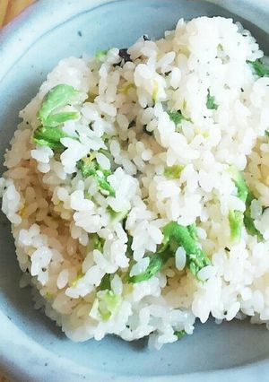 たらの芽ヘンプシードごはん-レシピのメイン写真