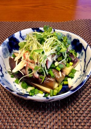蒸し茄子-レシピのメイン写真
