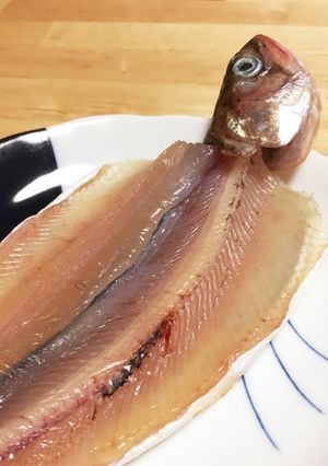 ニジマスの一夜干し-レシピのメイン写真