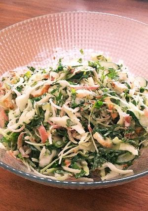 止まらない！香味野菜のさっぱりサラダ-レシピのメイン写真