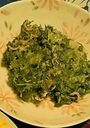 失敗しない☆ニンジン葉とじゃこのかき揚げ-レシピのメイン写真