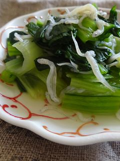 小松菜とシラスの昆布だし煮-レシピのメイン写真